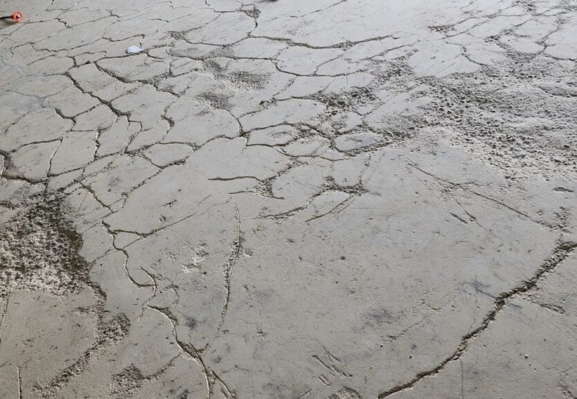 WhatsApp Image 2023-07-16 at 10.16.19 PM